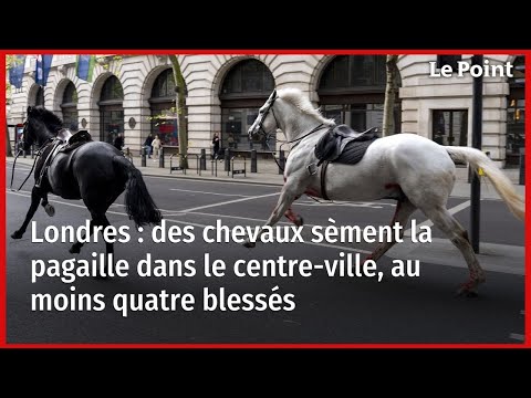 Londres : des chevaux sèment la pagaille dans le centre-ville, au moins quatre blessés