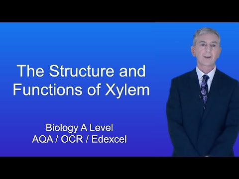 A Level Biology Revision “The Structure and Functions of Xylem”