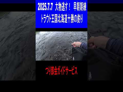 2025.7.7　大物を逃す　早朝朝練　トラウト王国北海道十勝の釣り　つり部会ガイドサービス