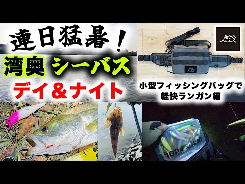 連日猛暑!湾奥デイ&ナイトシーバス!- リーニアTHE SNIPER小型フィッシングバッグで軽快ランガン編 - 東京湾奥シーバス