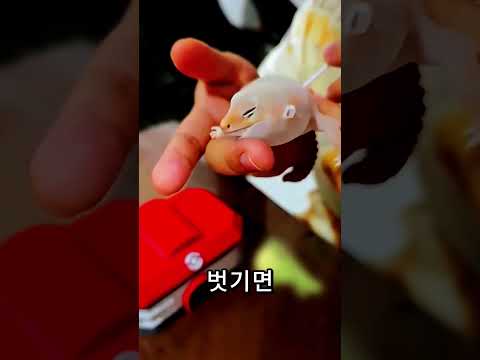 게코에게 바람을 불면 위험한 이유 🦎⚠️