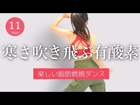 ☃️寒さ吹き飛ぶ!!☃️全身ポカポカ有酸素ダンス🔥エアロビクスで脂肪を燃やそう！ #387