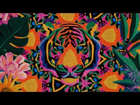 Twoxi x @poletaymusic  - Tiger Boy (Official Lyrics Video)