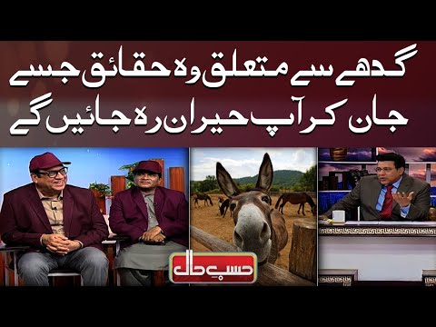 Gadhay (Donkey) Se Mutaliq Woh Haqaiq Jisay Jaan Kar Aap Heran Reh Jayen Ge | Hasb e Haal