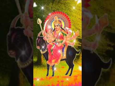 જ્ય મેલડીમાં 🔱#reels#new#status#Gujarati#dayro#viralvideo#meldimaa#shortvideo