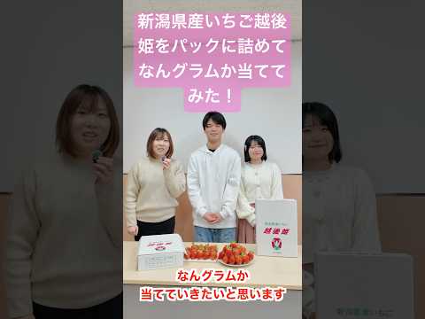 新潟県産いちご越後姫をパックに詰め放題でなんグラムか当ててみた！