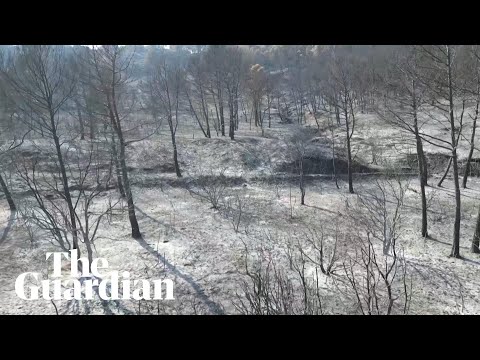 Drone footage shows forests reduced to ash as wildfire burns through southern France
