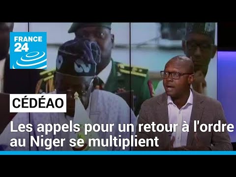 Sommet de la Cédéao : les appels pour un retour à l'ordre au Niger se multiplient • FRANCE 24
