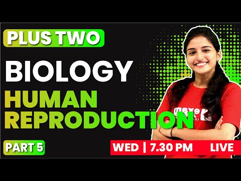 PLUS TWO BIOLOGY | CHAPTER 2 PART 5 | Human Reproduction | EXAM WINNER