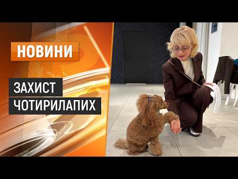 Права тварин та європейські стандарти: у Хмельницькому відбувся міжінституційний Форум