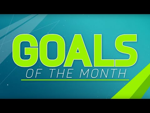 FIFA 16 fan Goal of the Month contenders