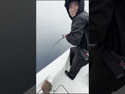 BLACK MAMBA釣果情報2025_6_20
