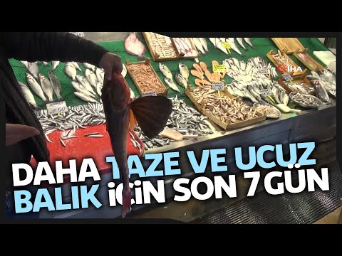 Av Yasağına 1 Hafta Kala Tezgahlardaki Balık Çeşitliliği Azaldı