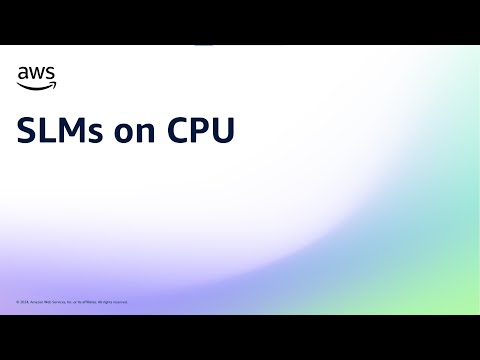 SLMs on CPU | Amazon Web Services