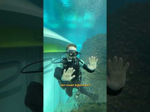 Dit gebeurde er in Abu Dhabi…