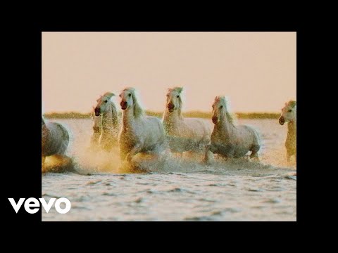 Calvin Harris, Rag'n'Bone Man - Giant (Lyric Video)