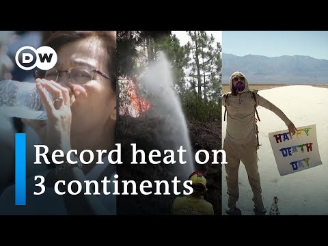 Record heat around the world: What are the long-term effects? | DW News