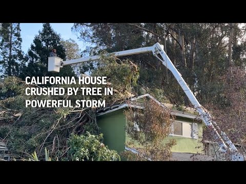 Giant tree crushes Oakland home as powerful storm lashes Northern California