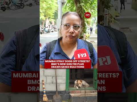 Mumbai Stray Dogs Off Streets? BMC’s New Shelter Plan, Reactions From Animal Activists &amp; Dog Lovers