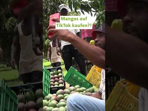 Mangos