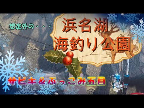【浜名湖　海釣り公園　五目釣り編】１２月に入っても未だ、サビキでアジが上がるとの情報あり確かめる事に・・・結果は想定外の？？