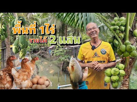 เกษตรทฤษฎีใหม่พื้นที่1ไร่รายไ