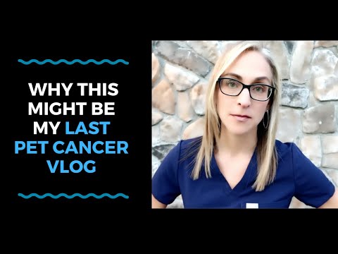 Why This Might Be My Last Pet Cancer Vlog - VLOG 123