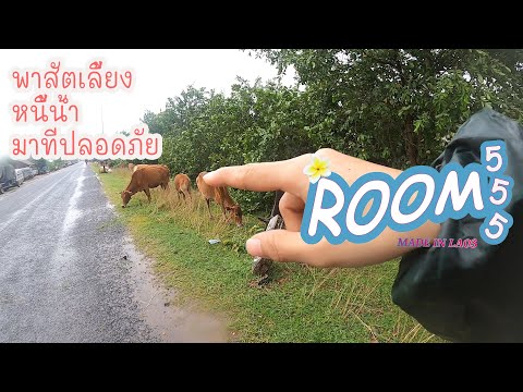 VLOG37.พายุเจิมปากาพาให้เราได้ VLOG37.พายุเจิมปากาพาให้เราได้