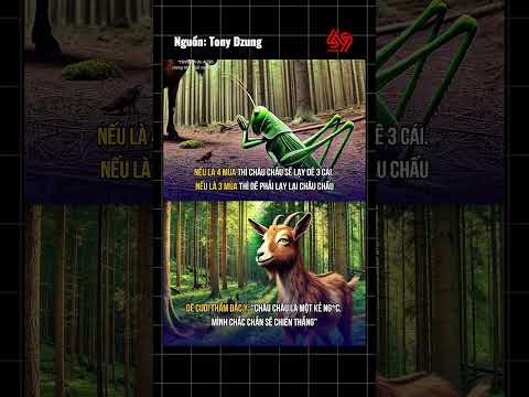 Đừng so đo đến cùng với kẻ ngốc, nếu không muốn trở thành kẻ ngốc thứ 2 #69channel