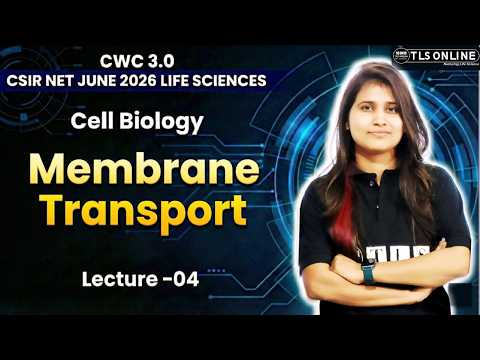 𝐌𝐞𝐦𝐛𝐫𝐚𝐧𝐞 𝐓𝐫𝐚𝐧𝐬𝐩𝐨𝐫𝐭 | 𝐂𝐞𝐥𝐥 𝐁𝐢𝐨𝐥𝐨𝐠𝐲 𝐋𝐞𝐜𝐭𝐮𝐫𝐞 𝟎𝟒 | 𝐂𝐒𝐈𝐑 𝐍𝐄𝐓 𝐉𝐮𝐧𝐞 𝟐𝟎𝟐𝟔 | 𝐂𝐖𝐂 𝟑.𝟎