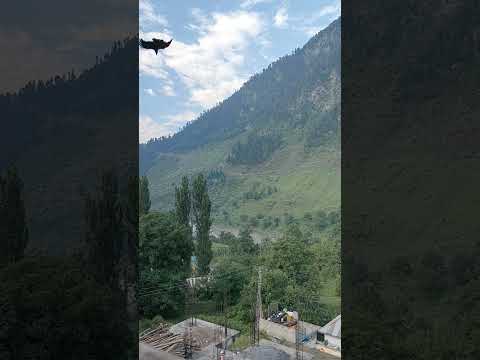 Surah Noor Urdu translation #surahnaml #surahyaseen #surahqaf #surahnoor #shorts #viral