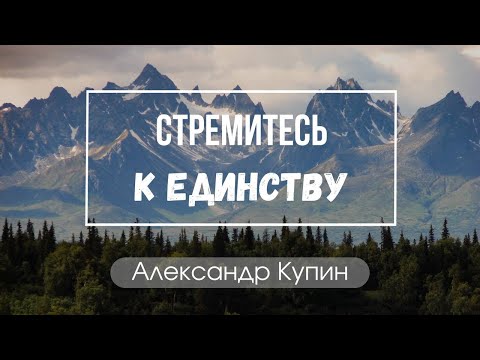 "Стремитесь к единству" Александр Купин