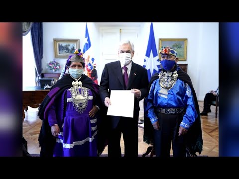 Consejo de Lonkos mapuche proponen realizar cumbre con autoridades de Estado