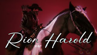 【RDR 2 RP】PROBLEMS. #Cakrawalacountyredm
