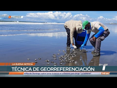 Técnica de georreferenciación para la conservación de tortugas en Chiriquí