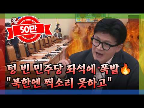 [돌발영상] 한동훈의 한 방 / YTN