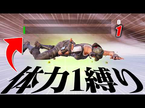 【極限】たったの『体力1』でビクロイを目指した結果【フォートナイト/Fortnite】