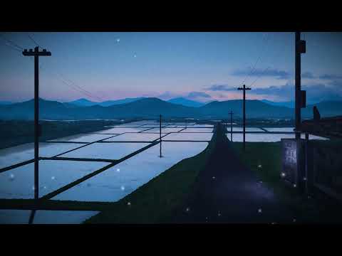 🌙 driving home under soft moonlight