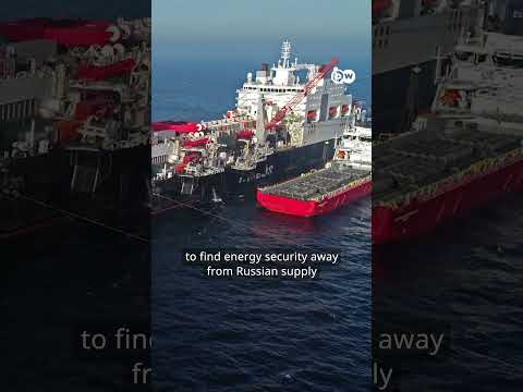 Why the US pauses LNG exports | DW News