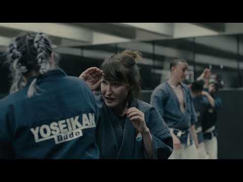 AMETS YOSEIKAN BUDO : Arte martziala