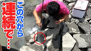 動画サムネイル