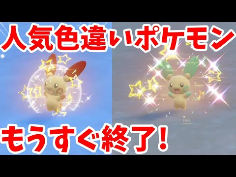 【ポケモンSV】もうすぐ終了！色違い確率アップの特別なイベント！【ポケモンスカーレットバイオレット・ゼロの秘宝】