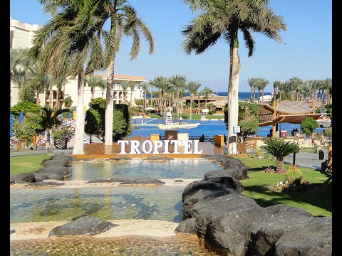 wakacje Egypt 2022 Tropitel