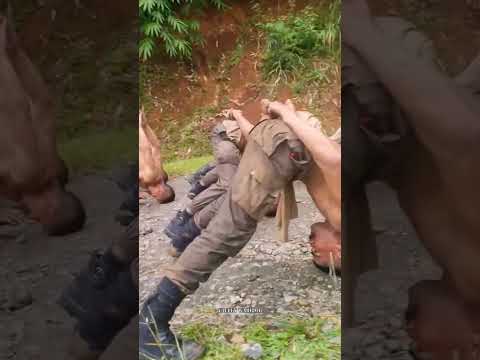 Sabash commando #army #indianarmy #ssbgd #indianmilitary #specialforces #indianarmedforces