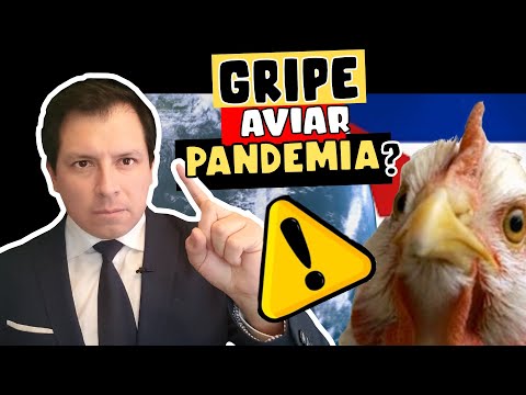 OMS DA ADVERTENCIA SOBRE GRIPE H5N1 ¿PRÓXIMA PANDEMIA?