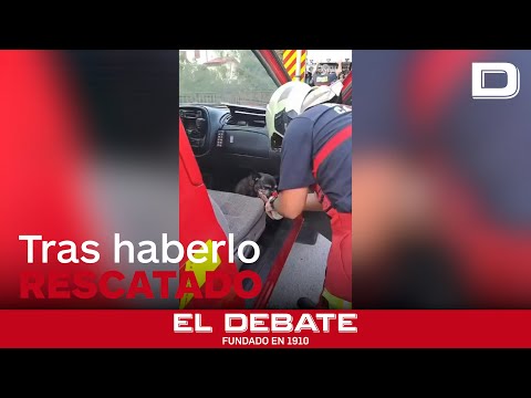 El tierno gesto de este bombero tras rescatar a un perro en Cantabria