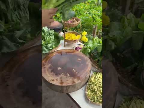 Cải rổ - Rạng Đông Seeds #hatgiongrangdong #rangdongseeds