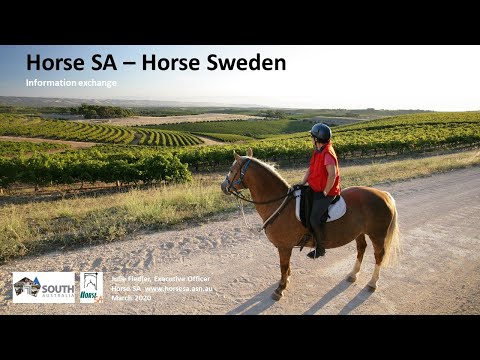Horse South Australia - Horse Sweden Information Exchange