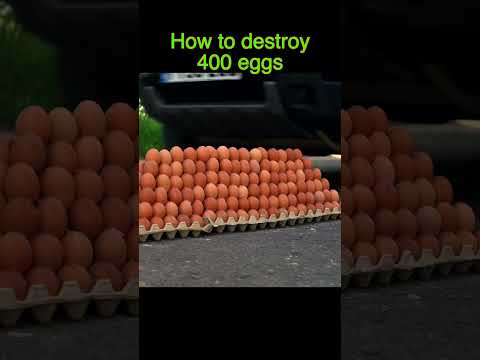 400 eggs smashed by car. The most watched video on channel.