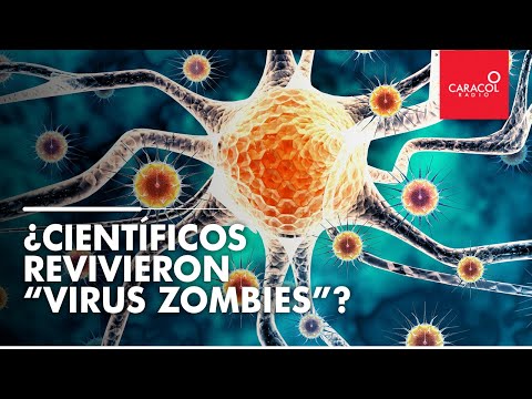 Científicos revivieron “virus zombies” que estaban congelados | Caracol Radio